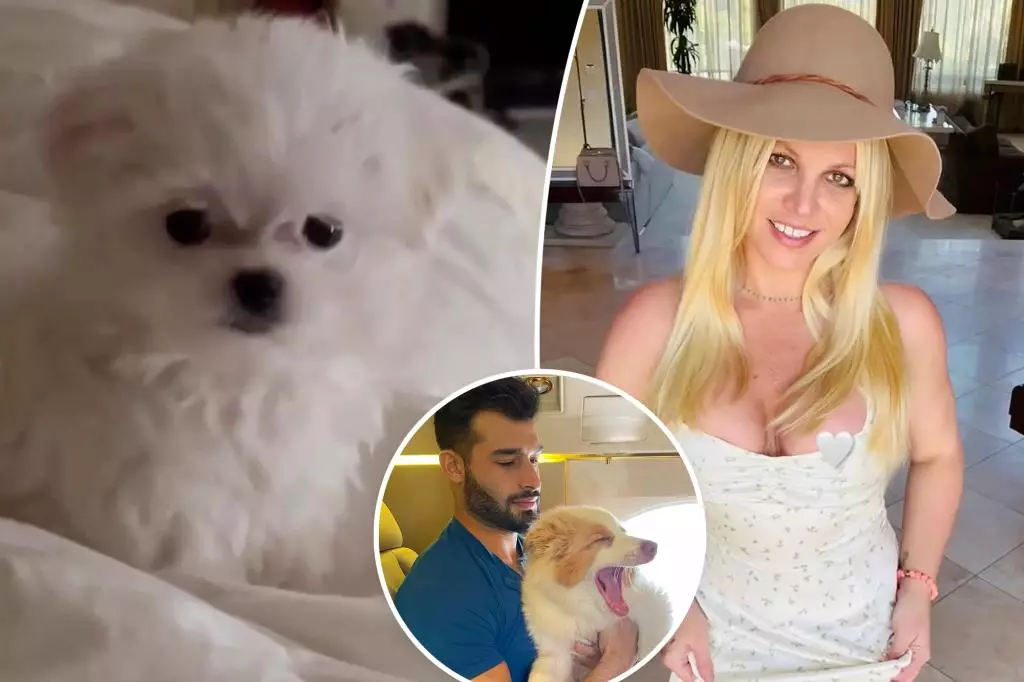 Britney Spears Welcomes New Puppy, Snow, Amid Divorce