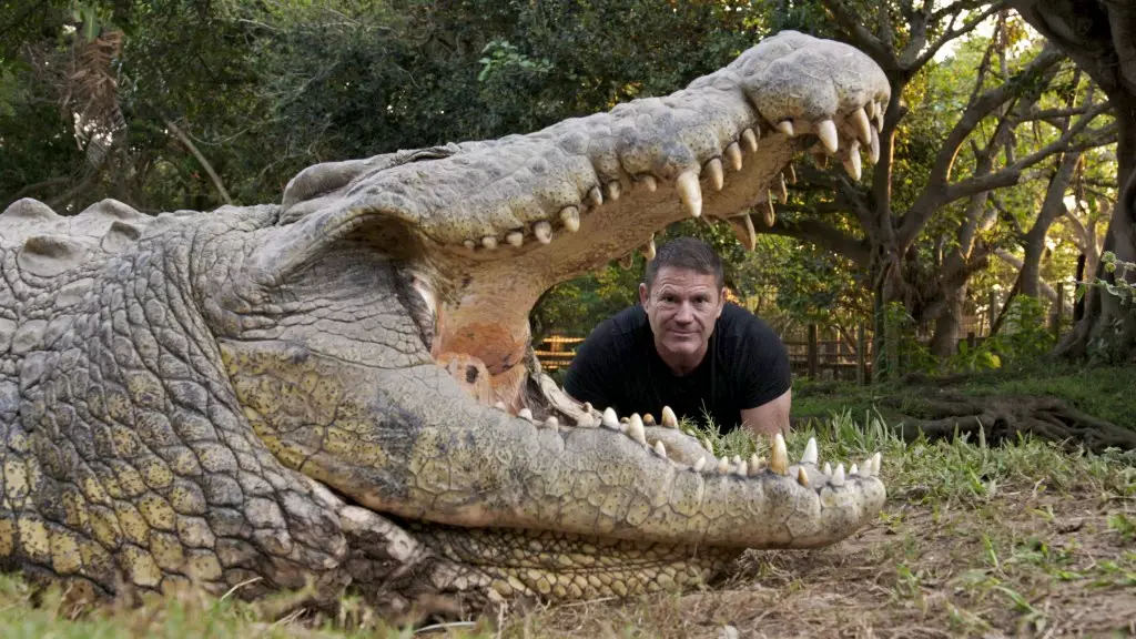 The Adventures of Steve Backshall: Croc Watch and Hippo Watch