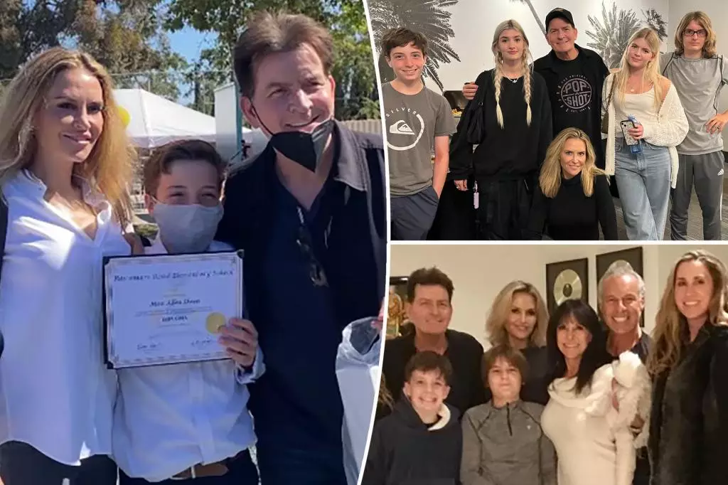 Brooke Mueller and Charlie Sheen’s Co-Parenting Arrangement: Examining the Real Picture