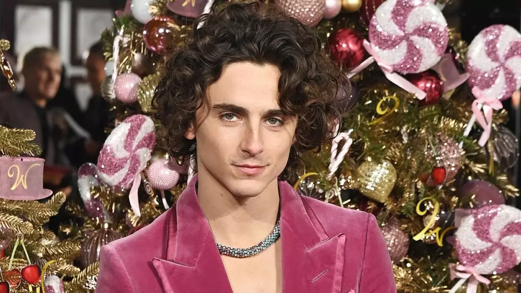 Timothée Chalamet: Finding His Path in an Industry of Stereotypes