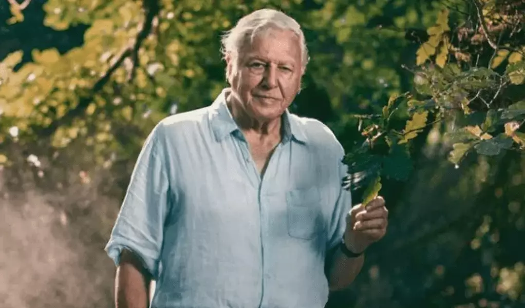 The Controversy of AI Cloning: David Attenborough’s Dilemma