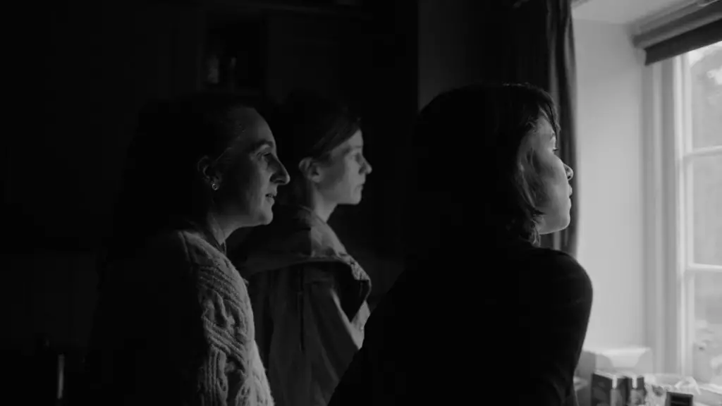 Unveiling the Power of Fear: A Bold New Era in International Cinema